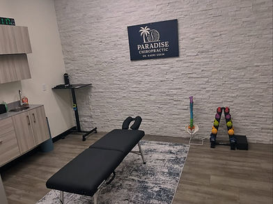 Ann Arbor Chiropractor Paradise Chiropractic