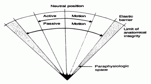 What is a Chiropractic Adjustment?