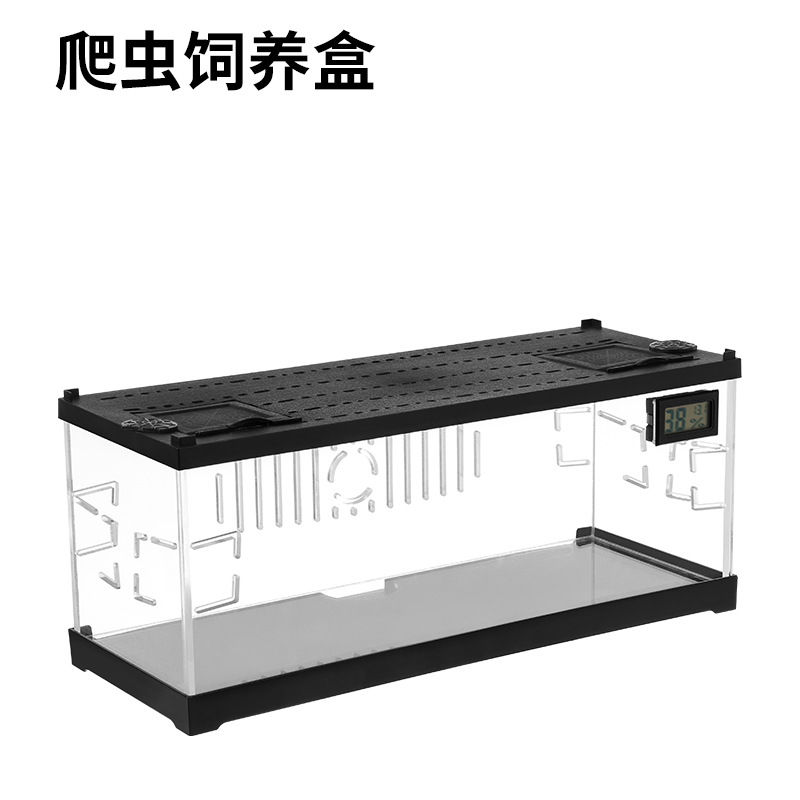 Thumbnail: Acrylic Reptile Vivarium with LED & Heating Pad | Lizard & Snake Enclosure