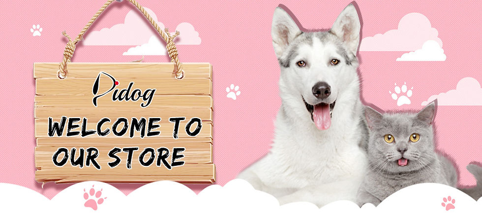Thumbnail: Personalised Leather Cat Collar | Adjustable with Custom Name Tag