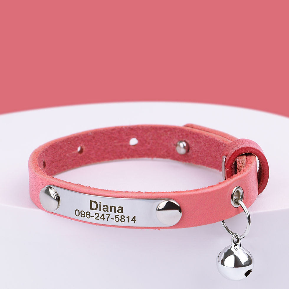 Thumbnail: Personalised Leather Cat Collar | Adjustable with Custom Name Tag