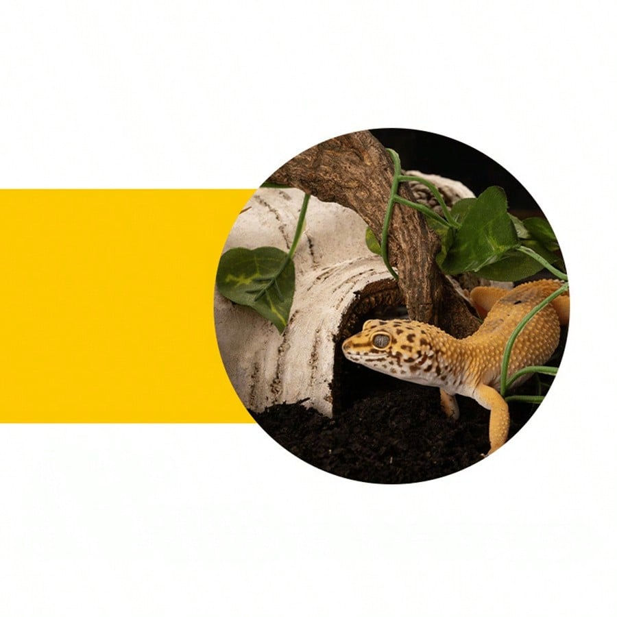 Thumbnail: Reptile Hideaway Cave | Birch Wood-Effect Resin Shelter for Lizards & Amphibians