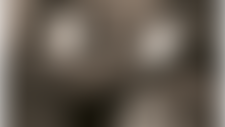 TÜRK DÜNYASI SİNEMALARI 8: TÜRK SİNEMASININ SİNEMACILAR DÖNEMİNDEN YEŞİLÇAMA SERÜVENİ