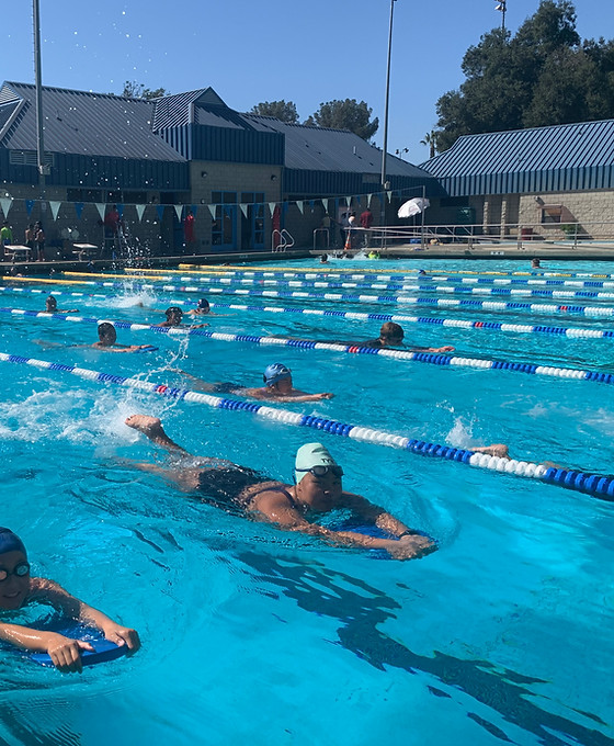 Home Alhambra Dolphins Swim Team