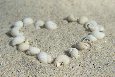 Herz aus Muscheln im Sand