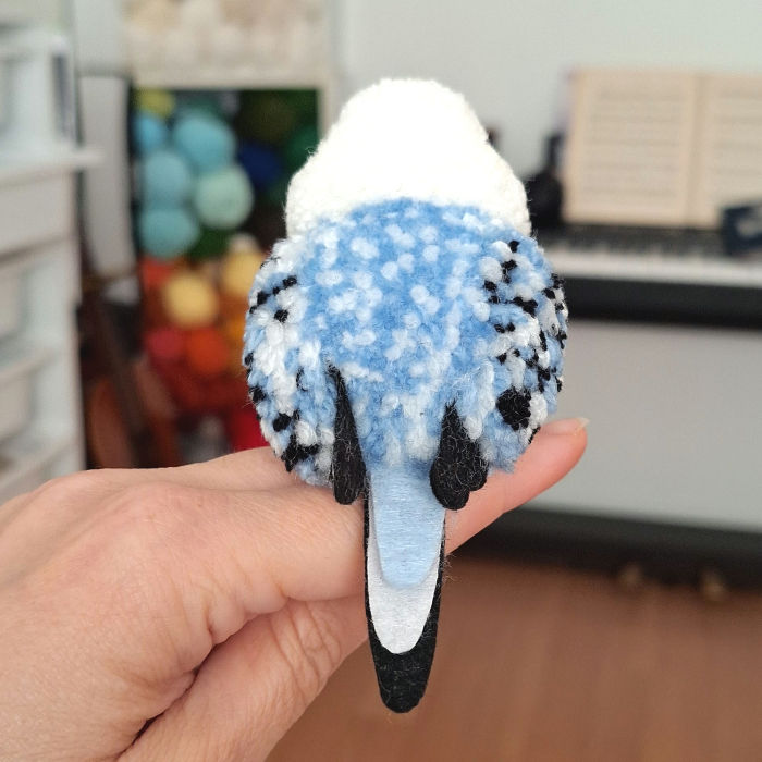 Küçük resim: Elde duran, arkadan görünen mavi  ponpon kuş