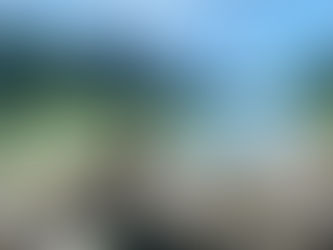 Der verzauberte Wald im Bergsteigerdorf Ramsau