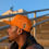 Thumbnail: Orange King Snapback with white lettering 