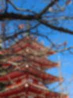 Pagoda in Japan