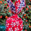 Thumbnail: red furoshiki present and tulips