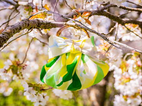 yuzu furoshiki bag in cherry blossom tree