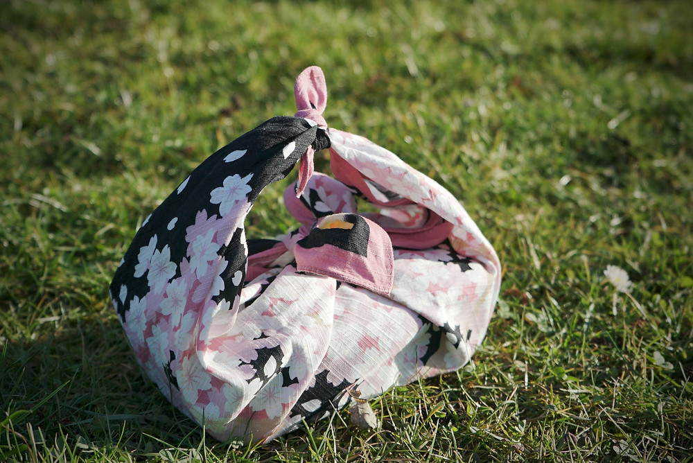 bento, picnic, food, lunchbox, lunch, Zusetsu furoshiki, online event