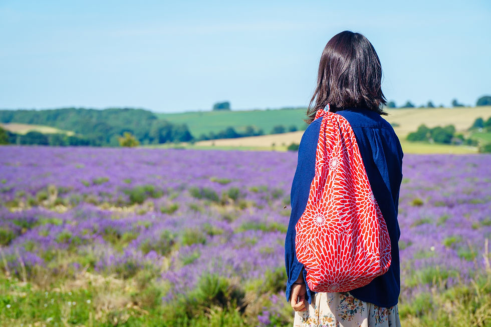 Thumbnail: Red furoshiki bag being carried  across a field