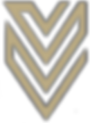 LVP logo 3.png