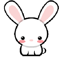 bunny-gif