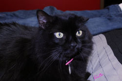 Anyanka is so pretty