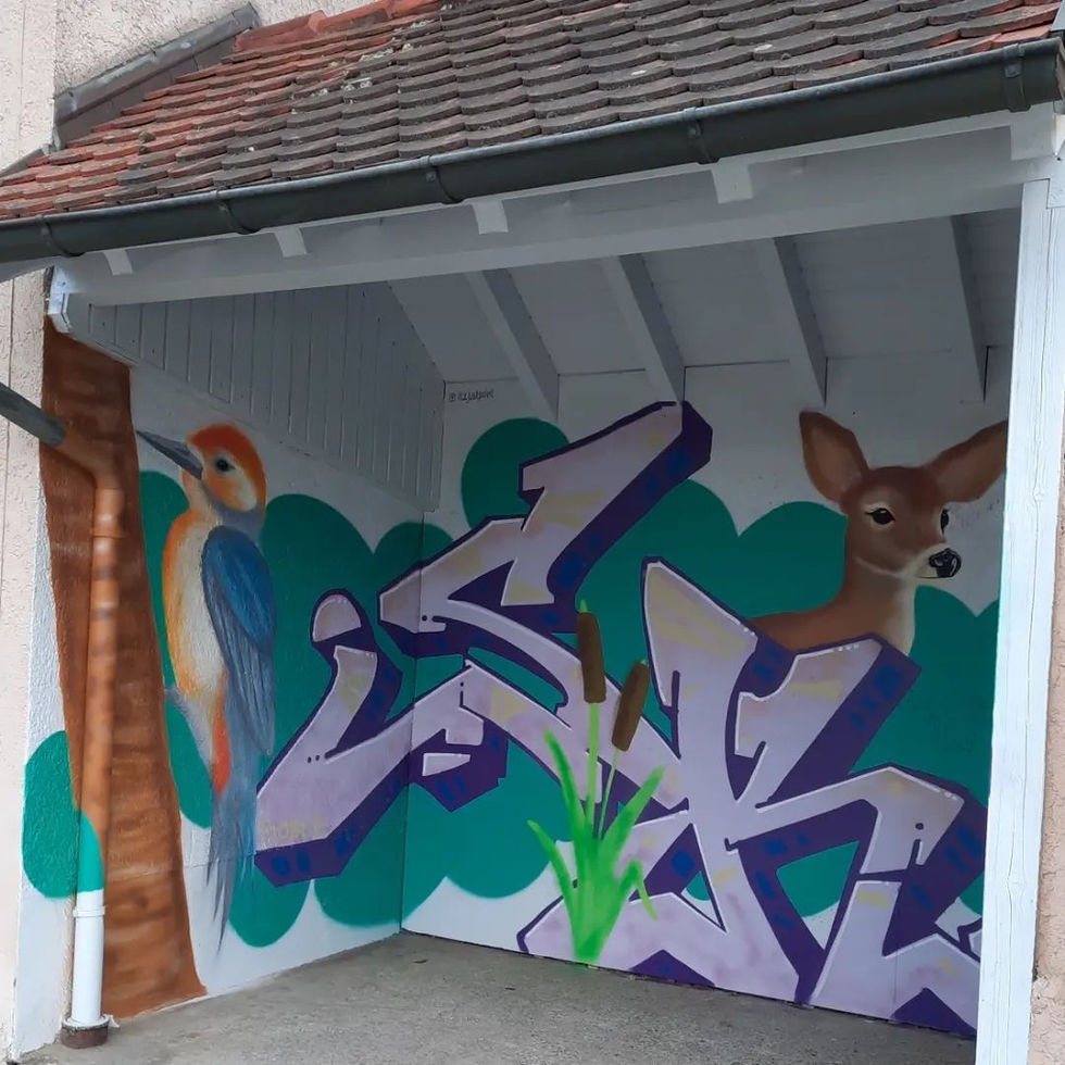 WhatsApp Image 2026-02-05 at 13.10.44