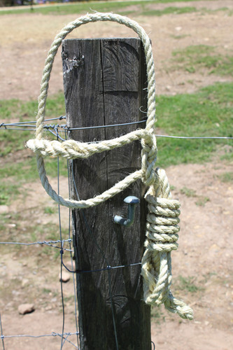 Sisal Rope Cattle Halter | elfreeman
