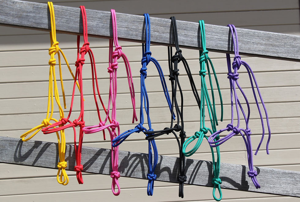 Thumbnail: Rope Halter 6mm