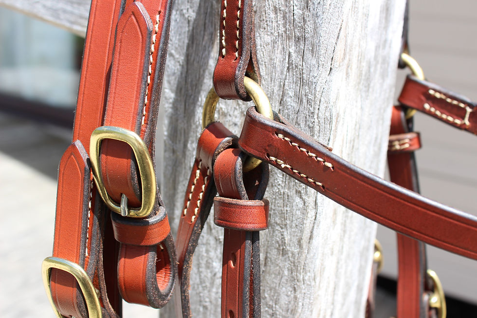 Thumbnail: Barcoo Bridle and Reins Set Cob