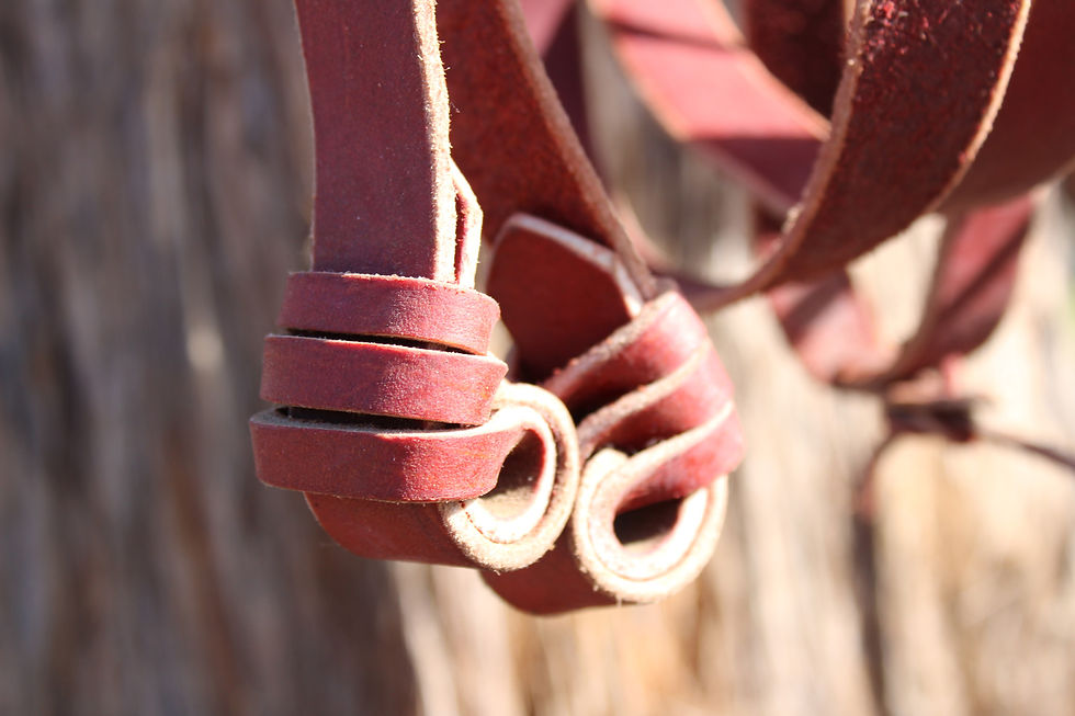 Thumbnail: Plaited Redhide Reins