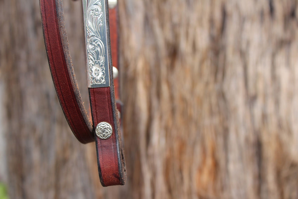 Thumbnail: Cob Western Silver Bridle