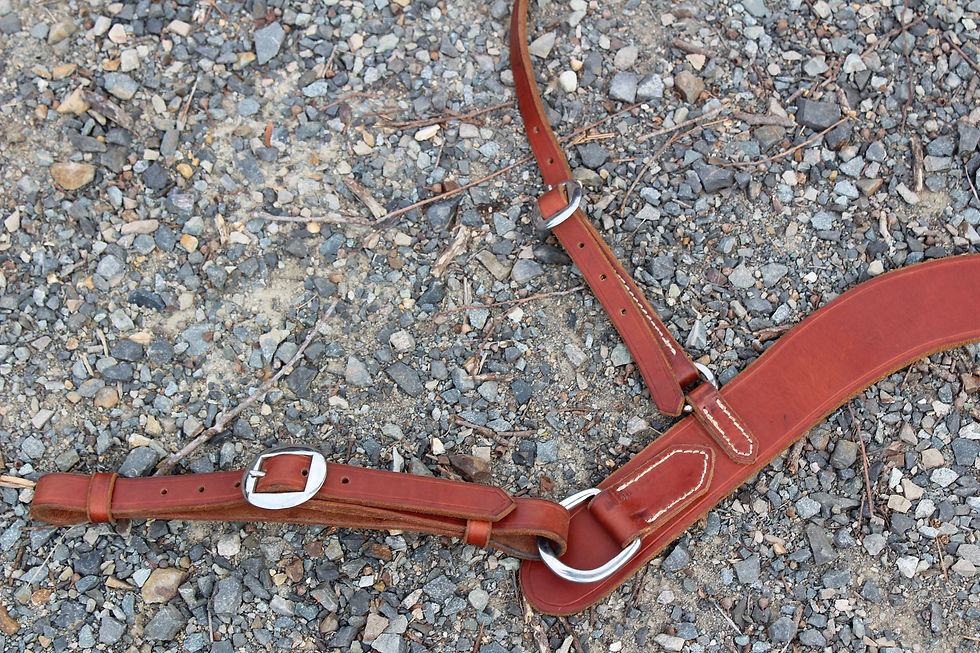 Thumbnail: Shaped Front Breastplate