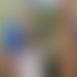 6 Best Things to Do in Marrakesh