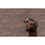 Thumbnail: Sony a7III Full Frame Mirrorless Camera ILCE-7M3K/B with 2 Lens SEL2870 FE 28-7