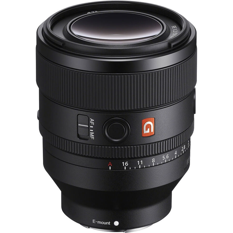 SEL50F12GM
