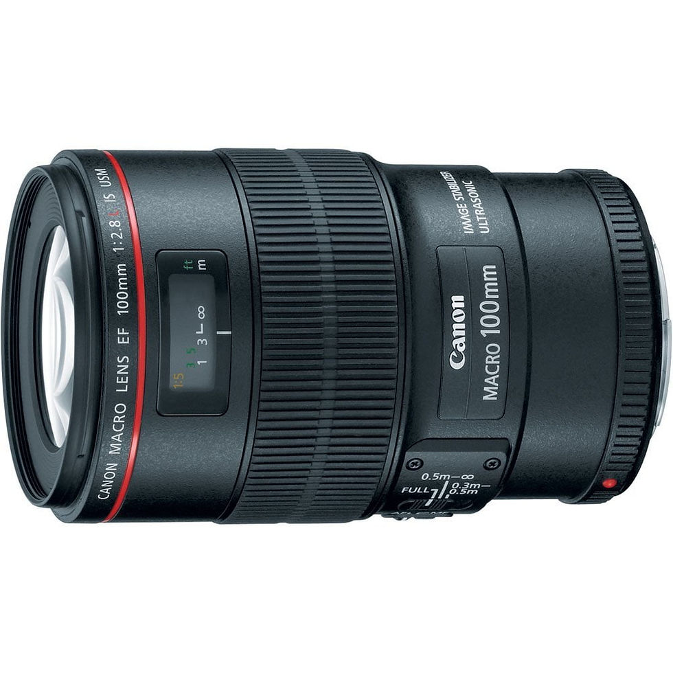 EF 100mm f/2.8L Macro IS USM L-Series