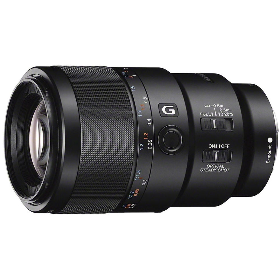 SEL90M28G