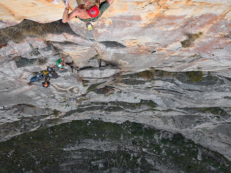 Yellowwood, Newborn - Journey Journal