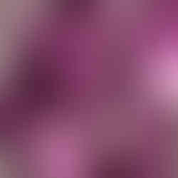 Romantische type winterkleuren 2026-2027