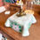 Miniature : Baladeuse églantine vintage