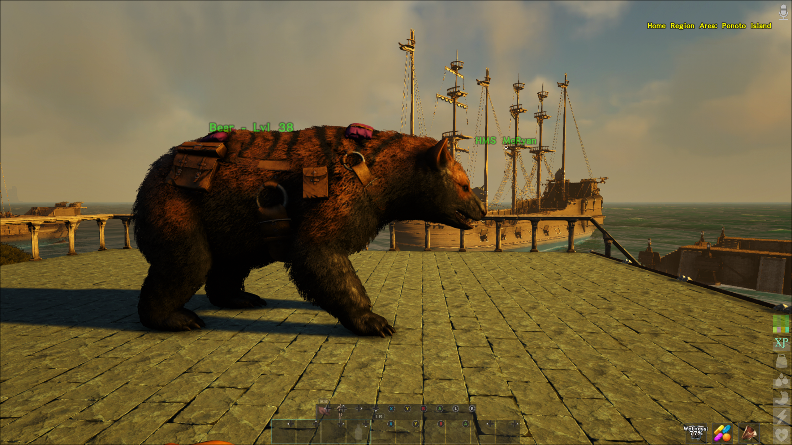 High Level Bear W/Saddle