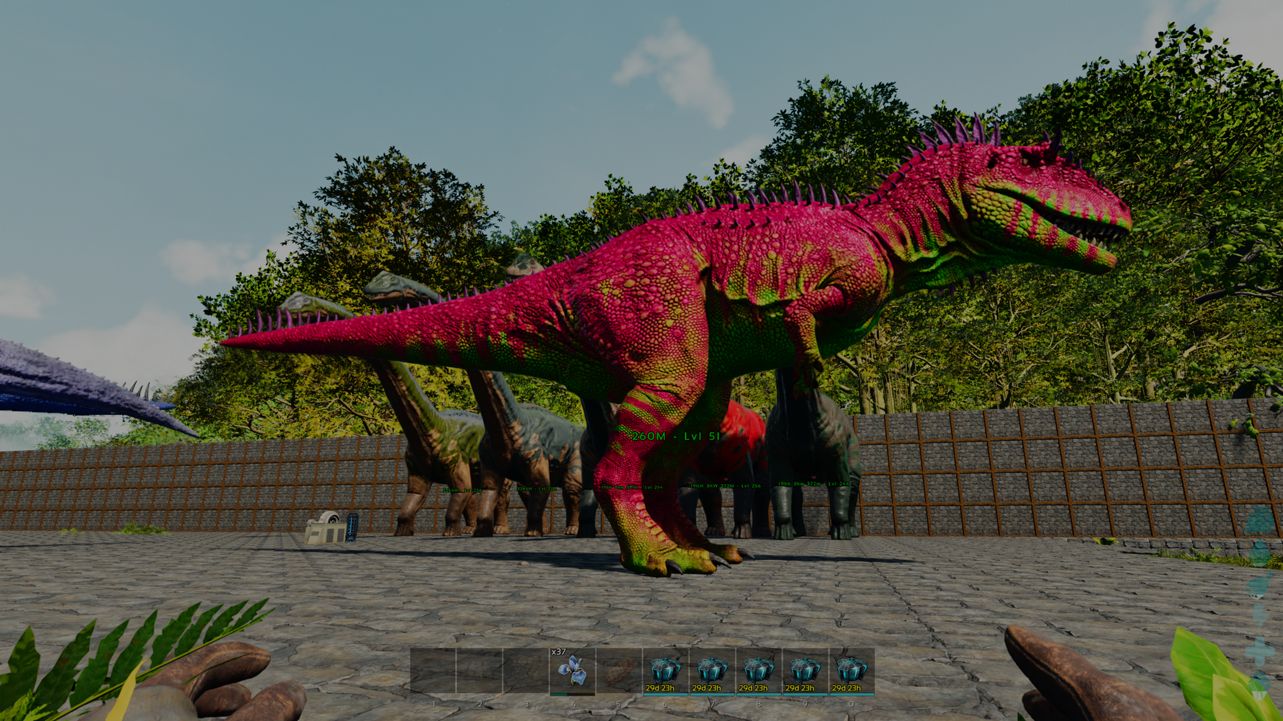 Watermelon Event Carche 260M (Cross Ark Seth)