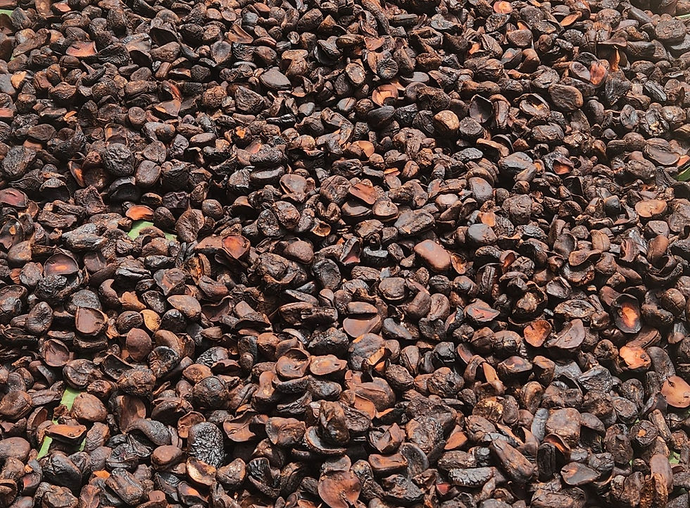 Natural-Ingredients.jpg