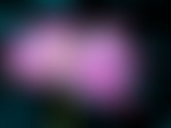 Atahualpa Mehrer Photo, Fotografía macro: descubriendo la belleza en los detalles