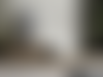 Walter Mehrer I - tendencia en cerámicas para 2025