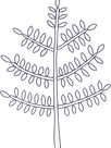 Baum