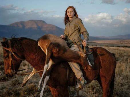 Extraterritorial Jurisdiction May be a Solution to Combat Trophy Hunting