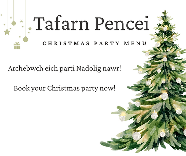 PENCEI XMAS WEBSITE.png