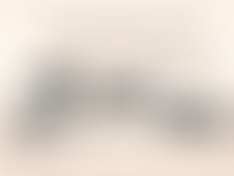 Can You Customize a License Plate Frame with a Movie Character Name?