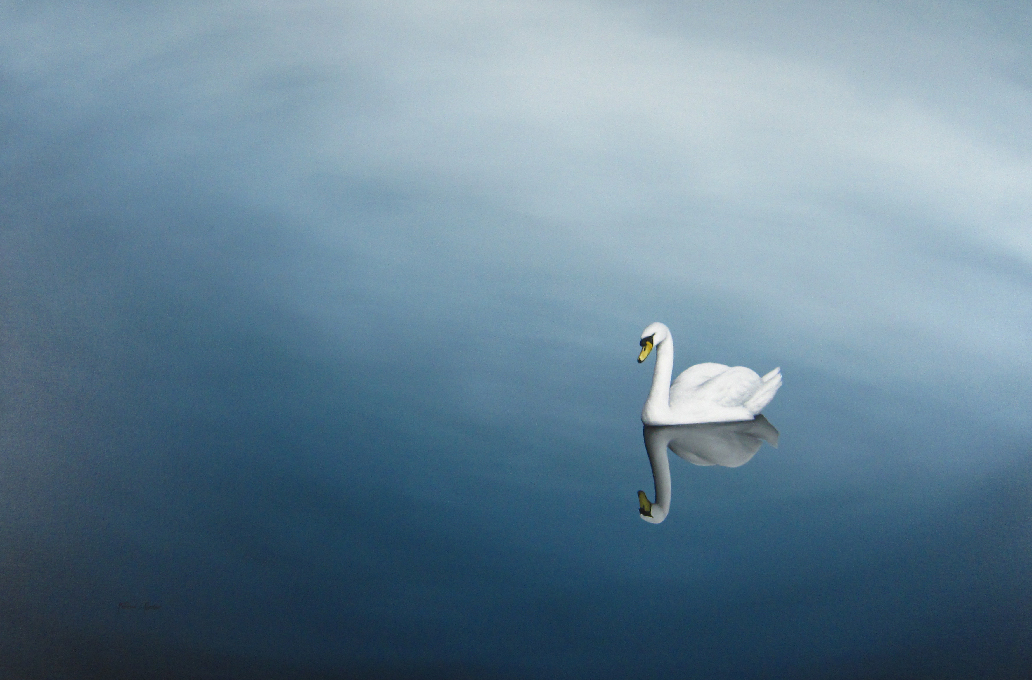 Stillness