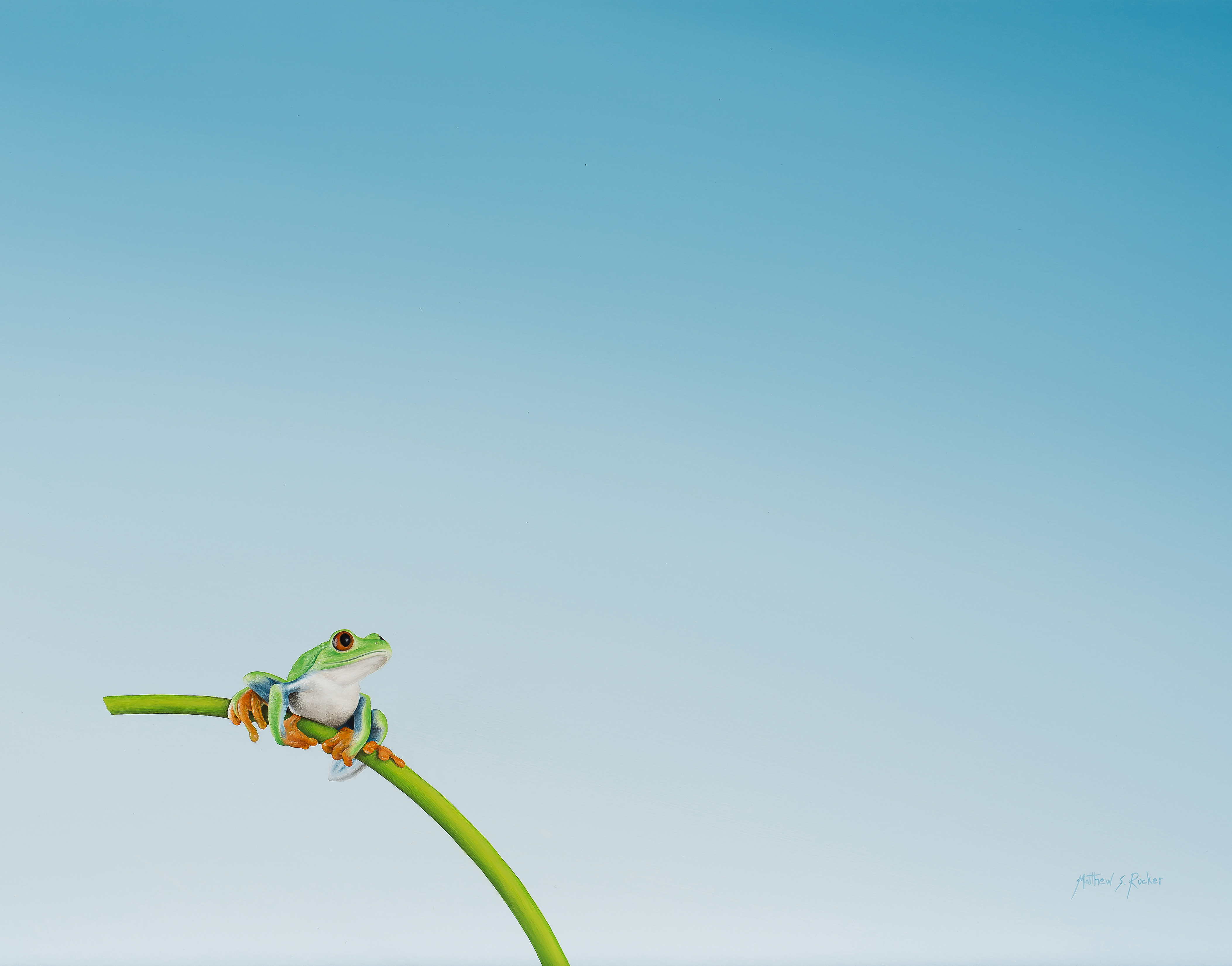 Sprout