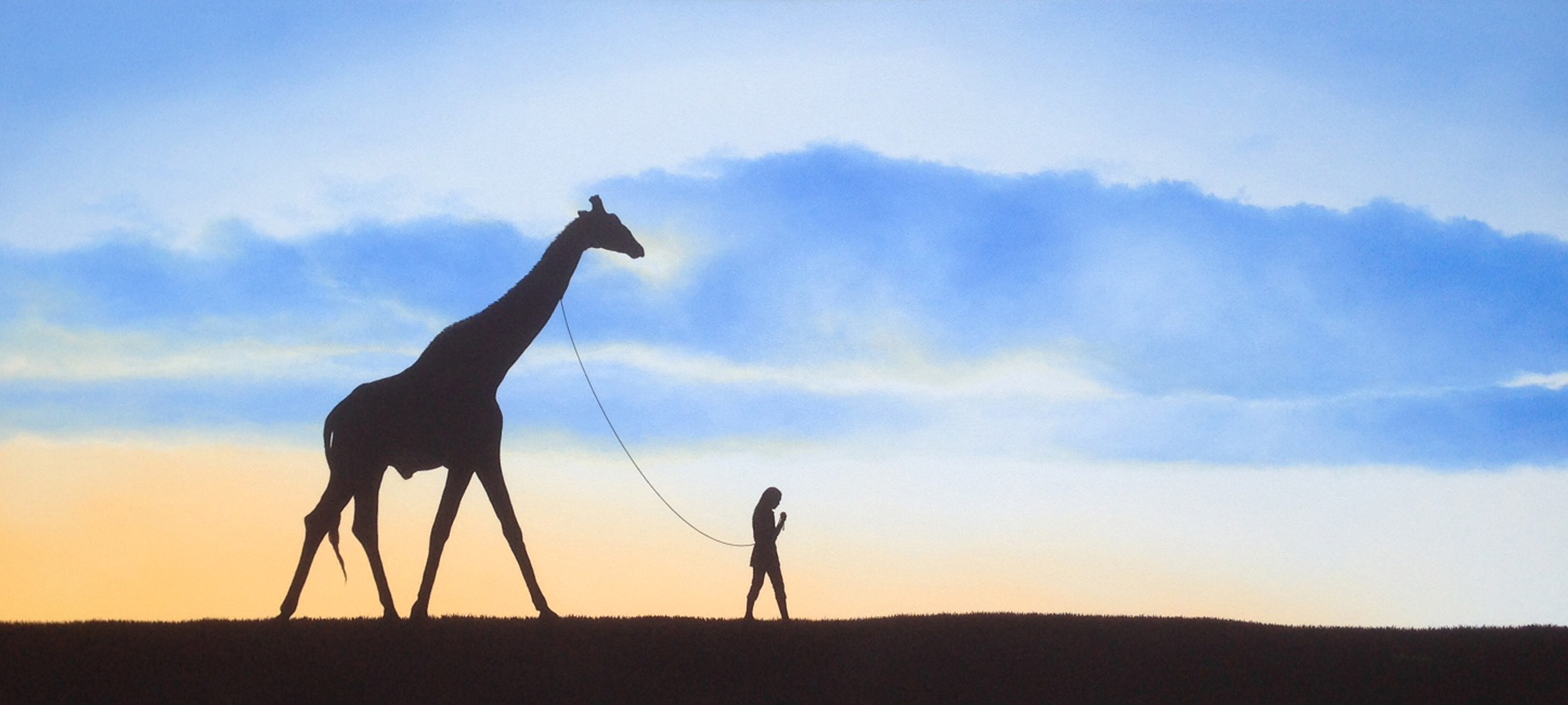 Evening Walk