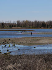 Bristol, Rhode Island