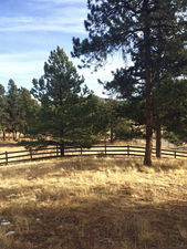 Mountain Ranch in Pine Colorado