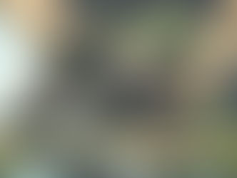 Embracing Winter Cooking: A Journey Through Comfort and Flavor